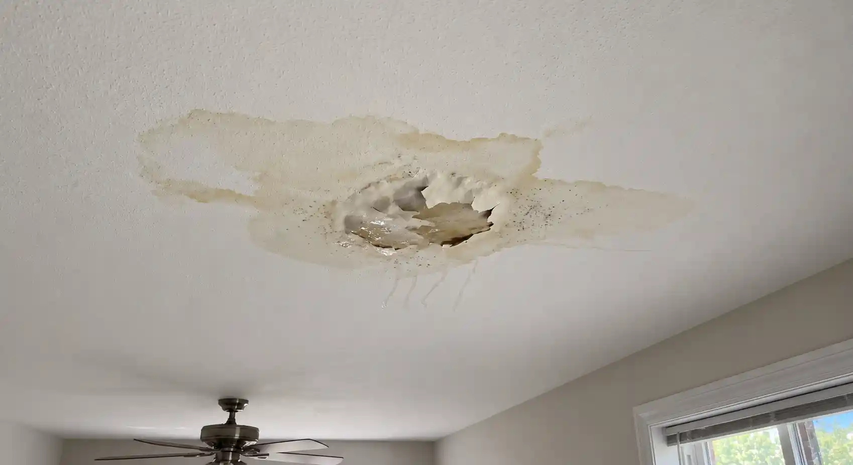 Ceiling Seepage Repair