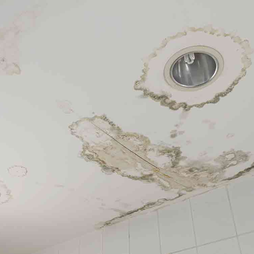 Toilet Bowl Base Sealing