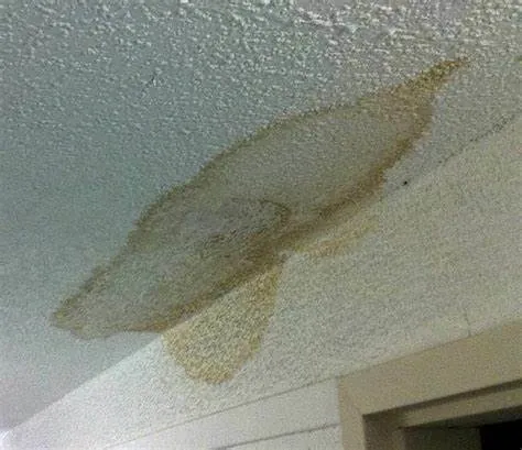 Ceiling Moisture Detection Singapore
