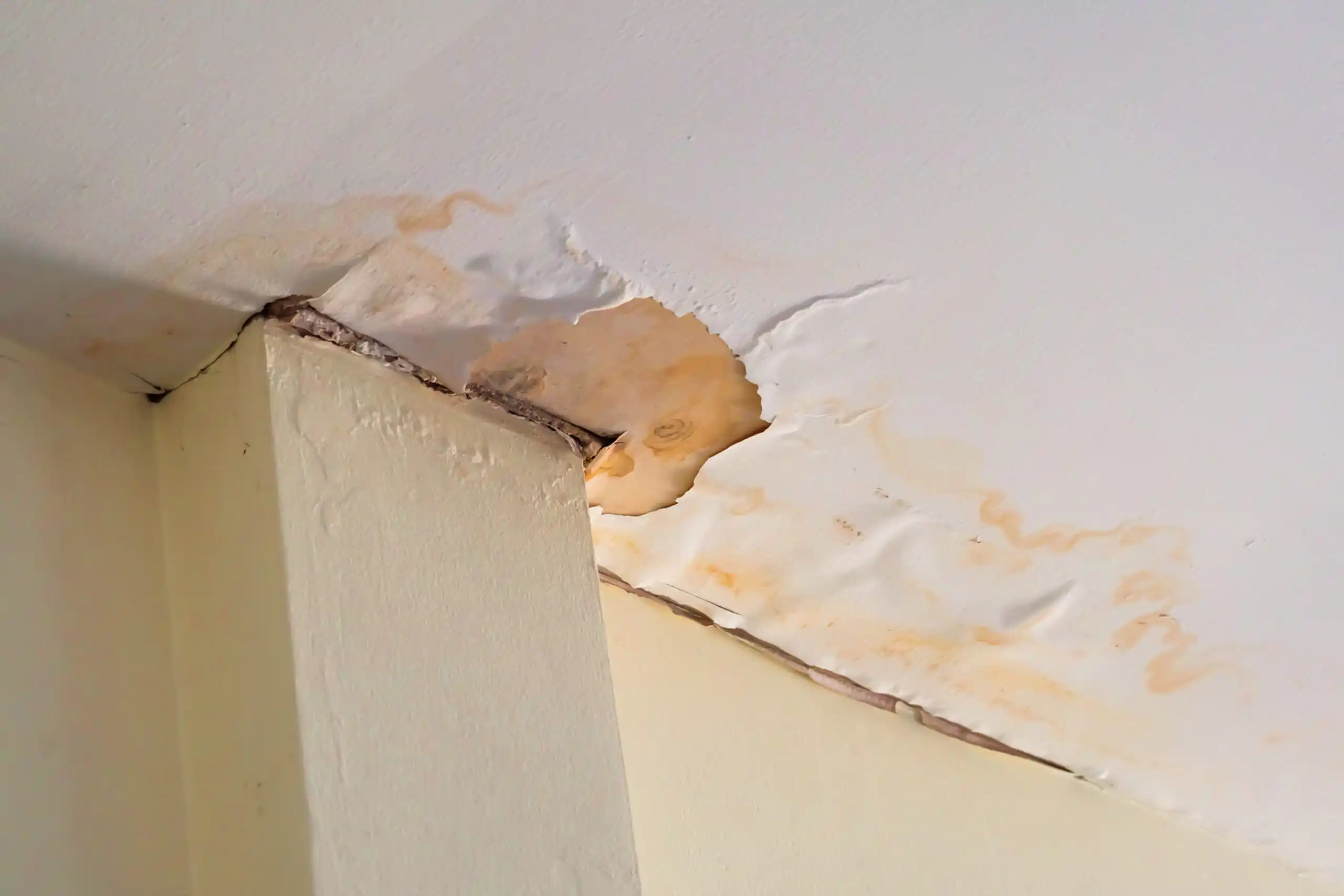 Ceiling & Roof Leak Detection Singapore