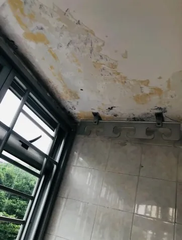 Condo Ceiling Seepage Repair Singapore