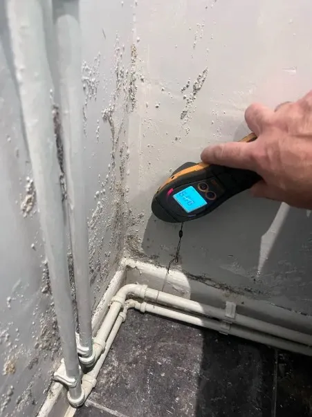Professional Ceiling Leak Detection and Thermal Moisture Mapping in Singapore