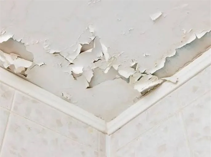 High Ceiling and Anti-Mould Ceiling Painting Service Singapore
