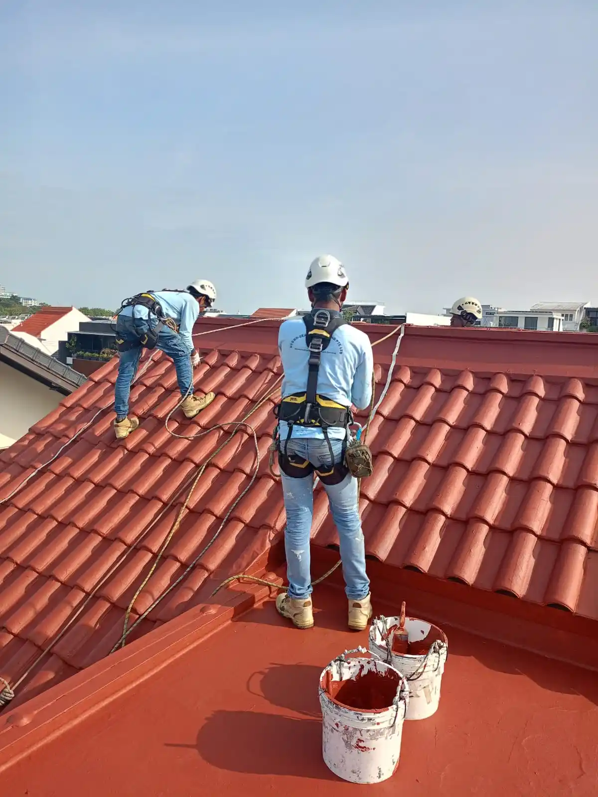 Professional Roof Leak Detection and Inspection Service in Singapore