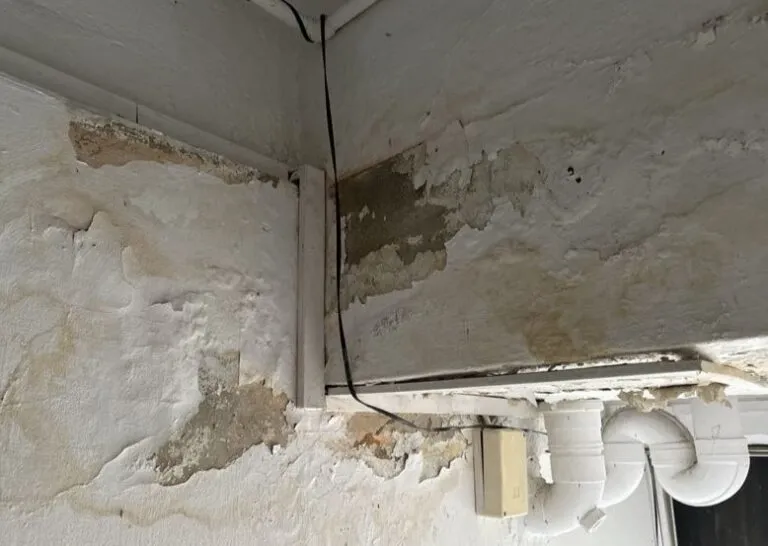 Wall & Ceiling Seepage Repair Singapore