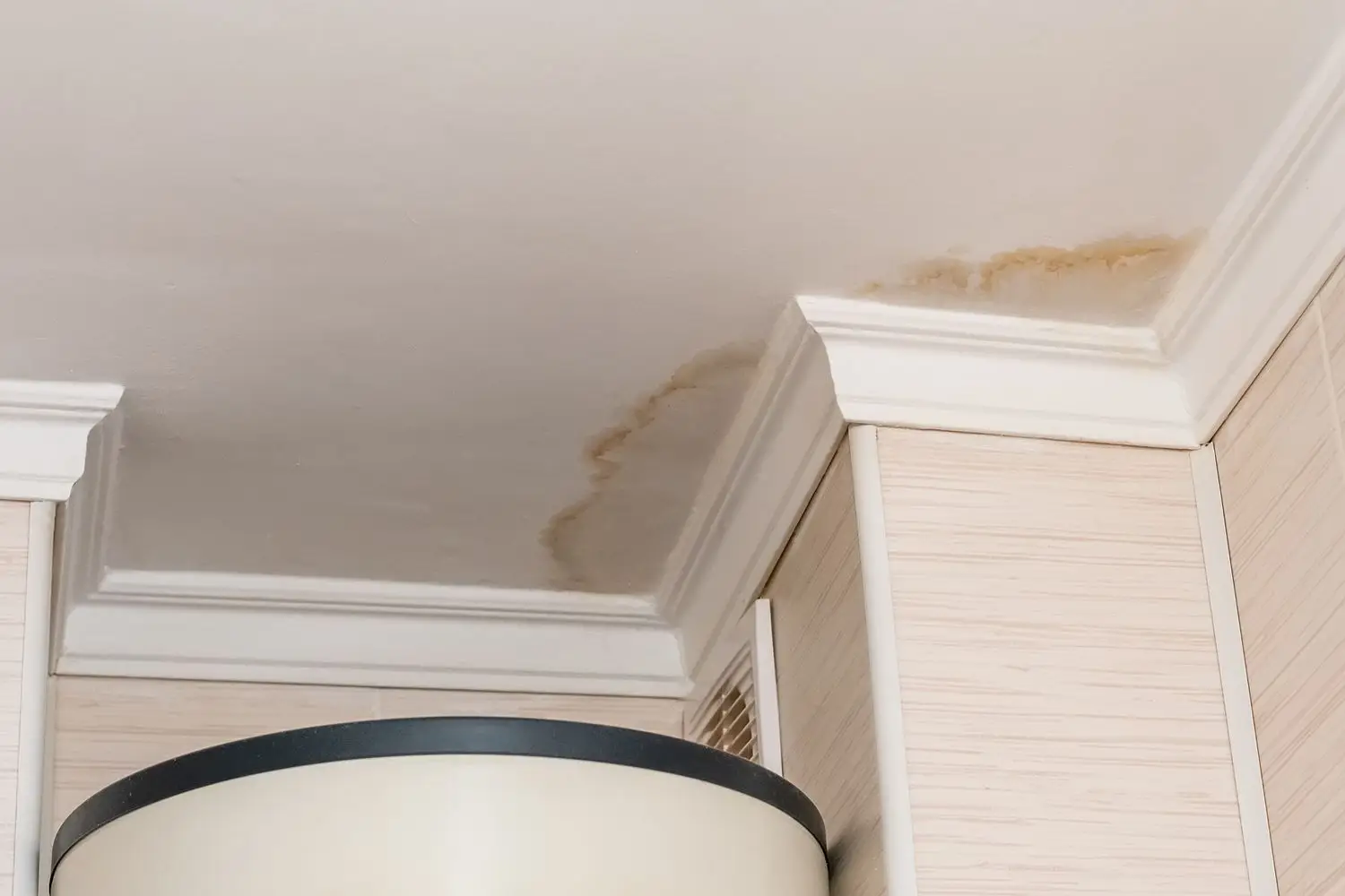 Specialist Ceiling Seepage Repair and Waterproofing Service in Singapore